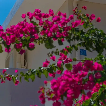 Apartment Seaside Rethymno (Crete)